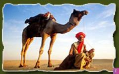 Rajasthan Imperial Tours