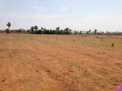 Cheap Agri Land for Sale with Well and free Electricity