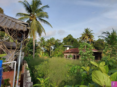 32 Cent Land Near Cochin Saniwares