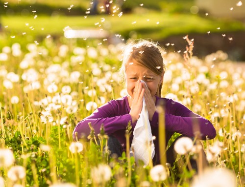 Allergies: What solutions can be made?