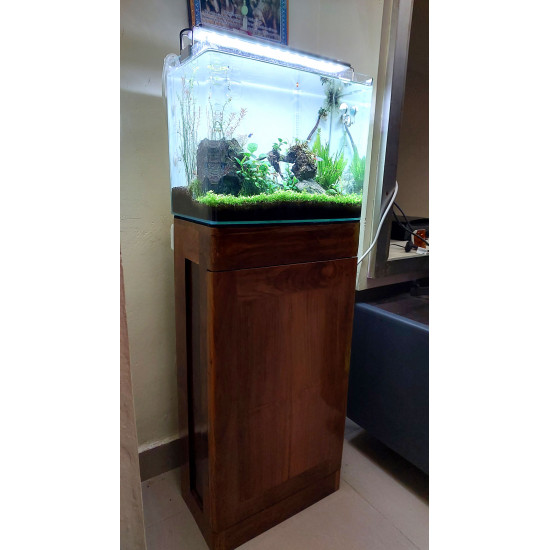 Curved Edge Aquarium Cabinets